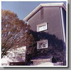 晩秋の木陰と黒い壁体