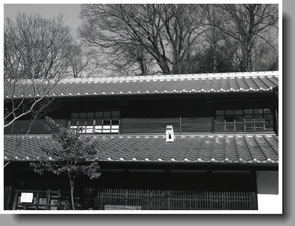 ブロニカの１３番目のショット