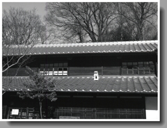 ブロニカの１３番目のショット