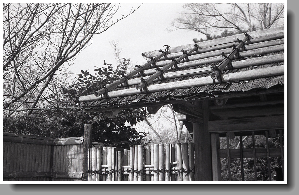 竹組の数寄屋門