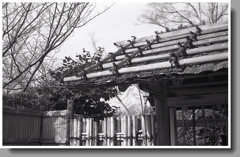 竹組の数寄屋門