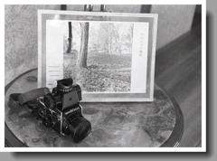 ブロニカとブロニカの朝