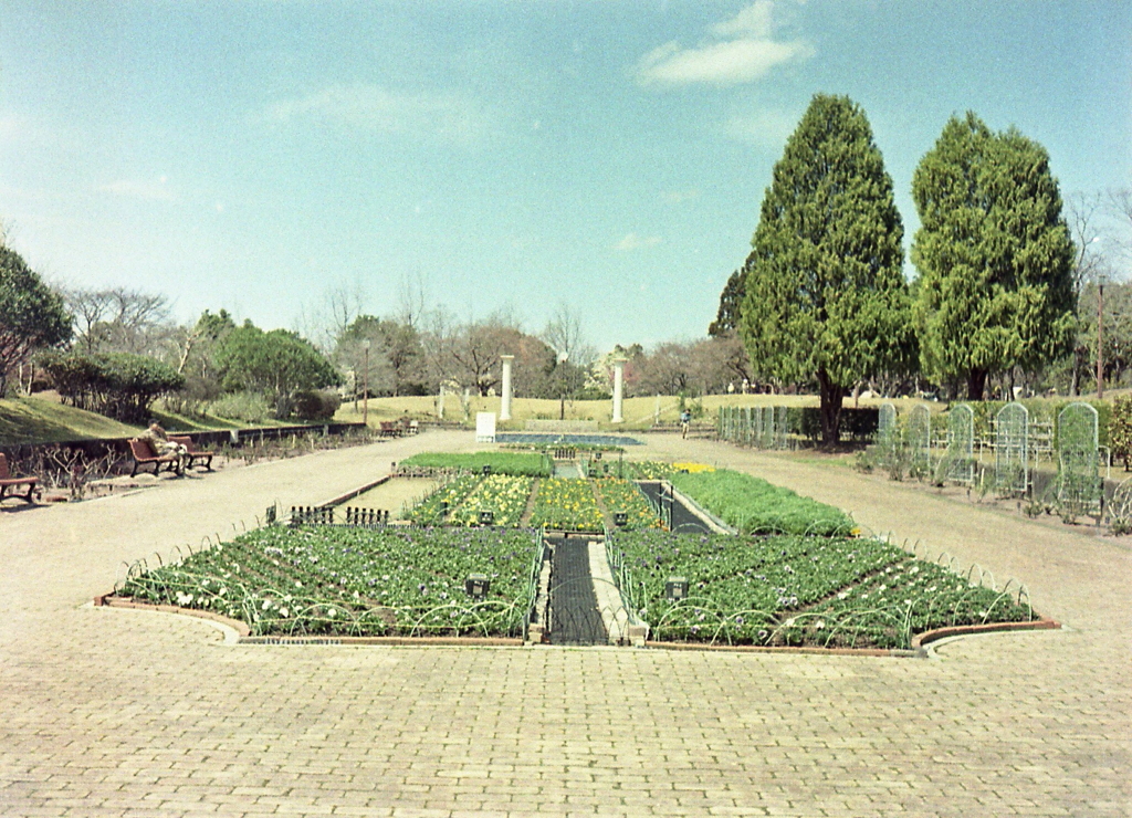 春の花壇