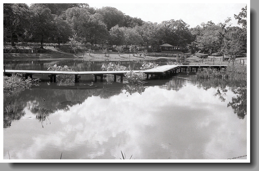 夏の桟橋に湖面の雲