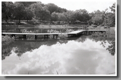夏の桟橋に湖面の雲