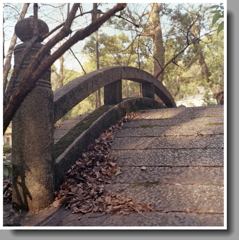 石橋に落葉　～熱田神宮にて