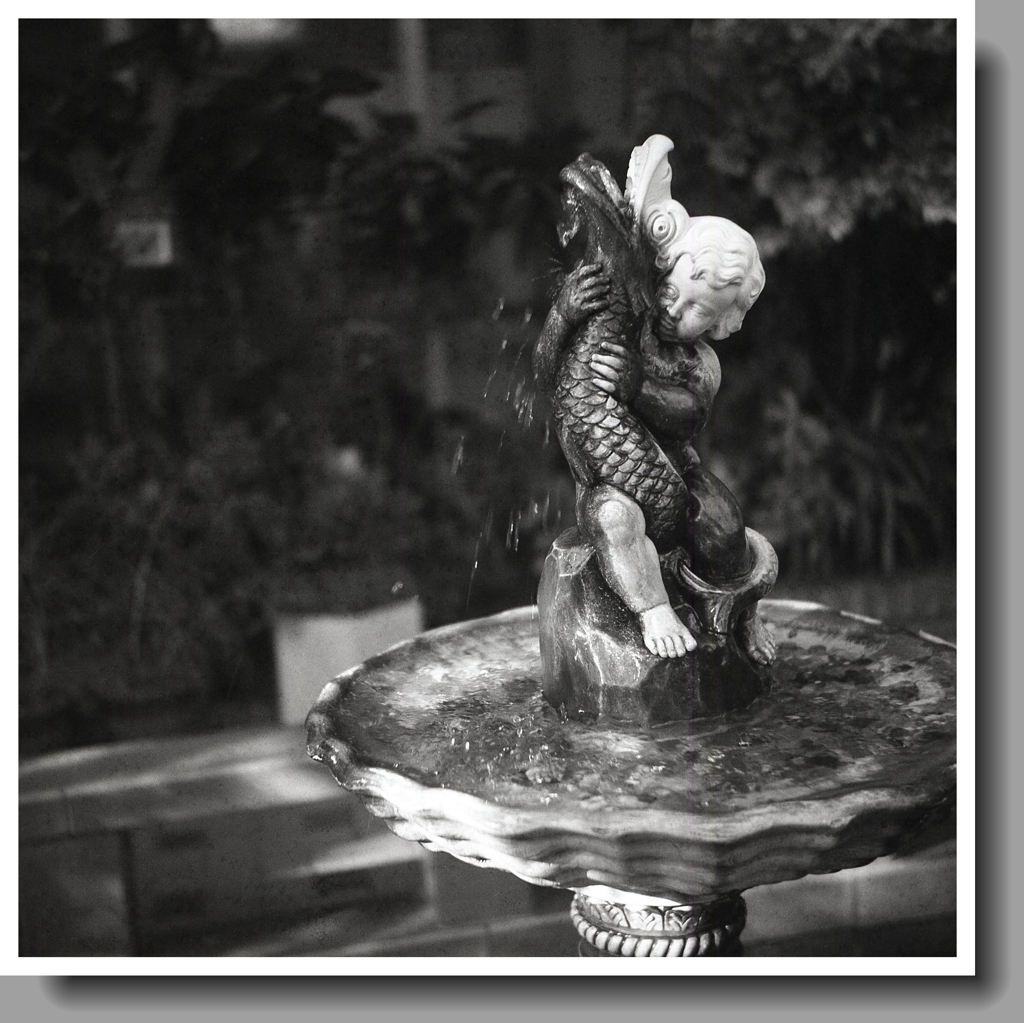 ドラゴンチャイルド