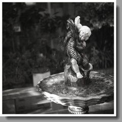 ドラゴンチャイルド