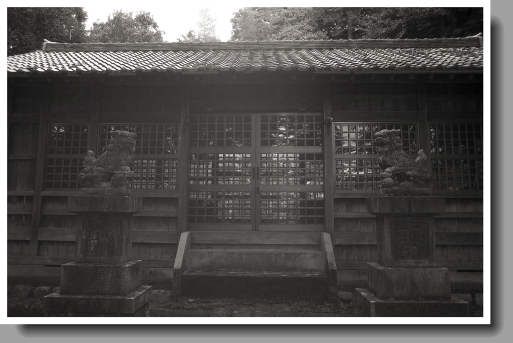 阿形吽形の狛犬と拝殿