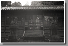 阿形吽形の狛犬と拝殿