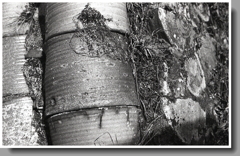 瀬戸物の曲がり角