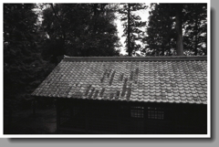 見下ろす拝殿の屋根瓦