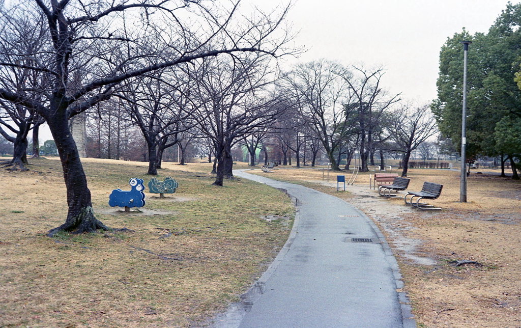 Rainy Park