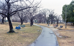 Rainy Park