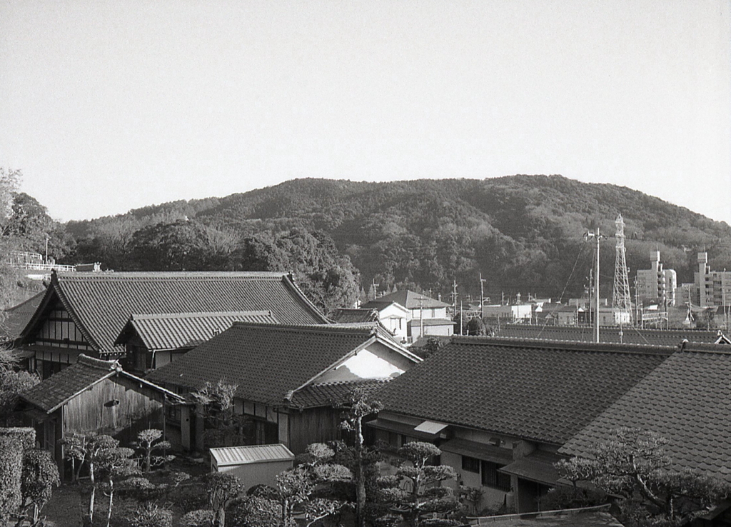 PEN EEでの参道坂からの瓦風景