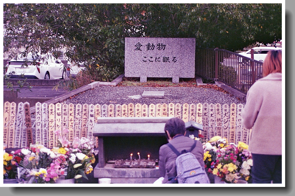 ブルとボビのお参りに