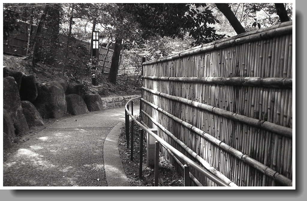 曲り下り坂の道