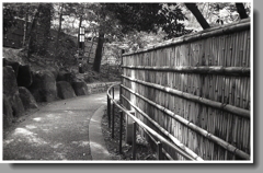 曲り下り坂の道