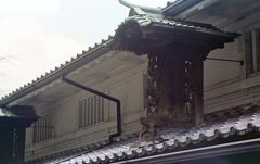 丸薬の看板