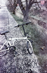 愛車 Left Alone