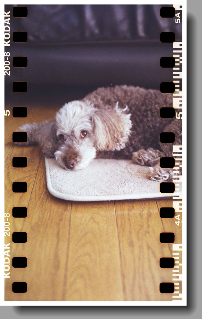 マリの思い出　～2020年9月撮影