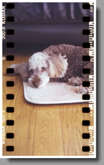 マリの思い出　～2020年9月撮影