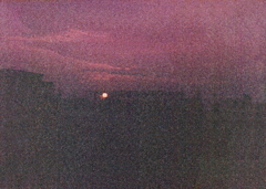 荒粒子の夕陽