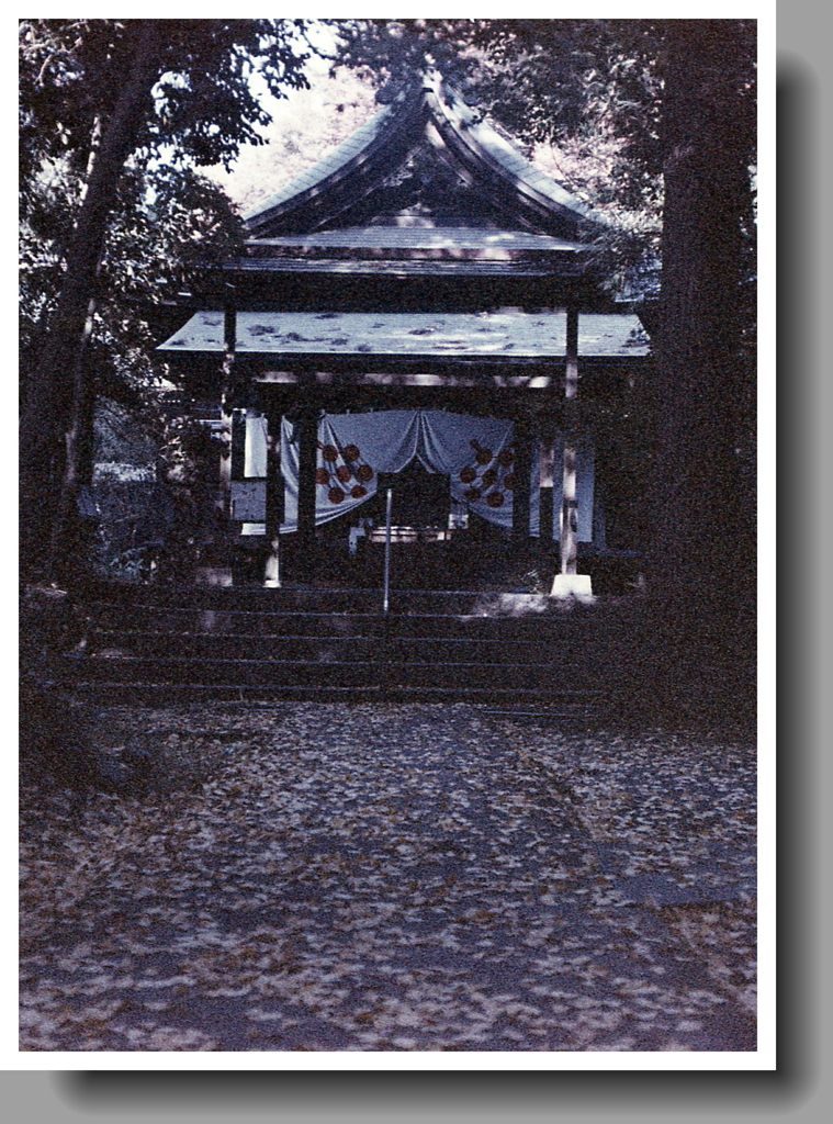 落葉を踏みしめて参拝です。