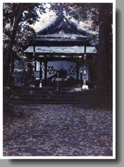 落葉を踏みしめて参拝です。