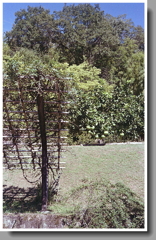 山肌にアケビ棚