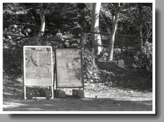 サックス侍来る！