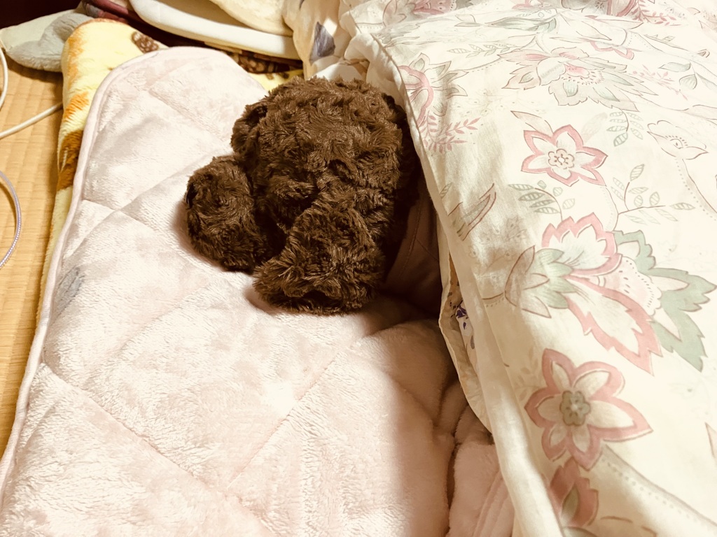 マイたんおやすみ…