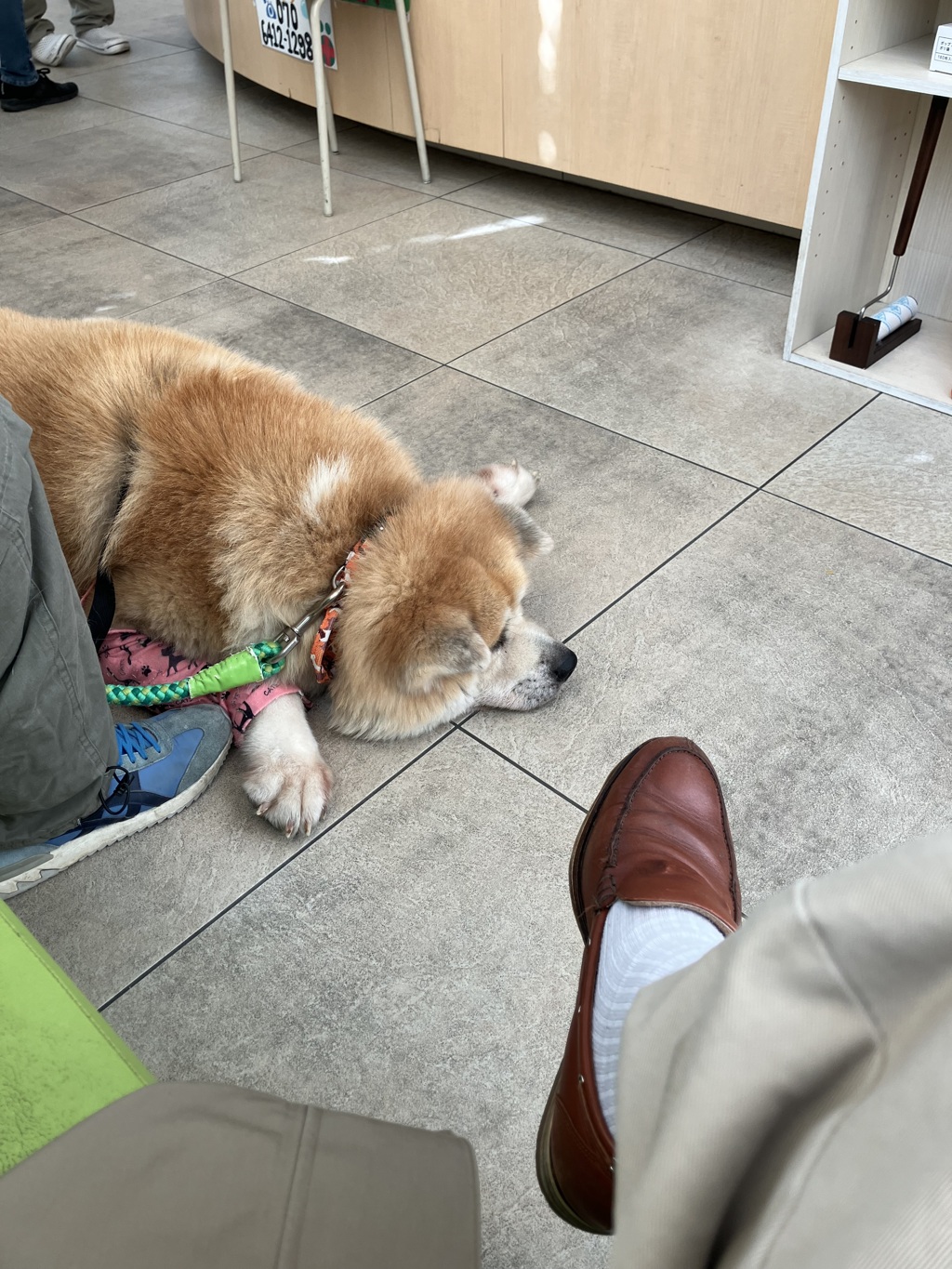 で、デカい！(苦笑