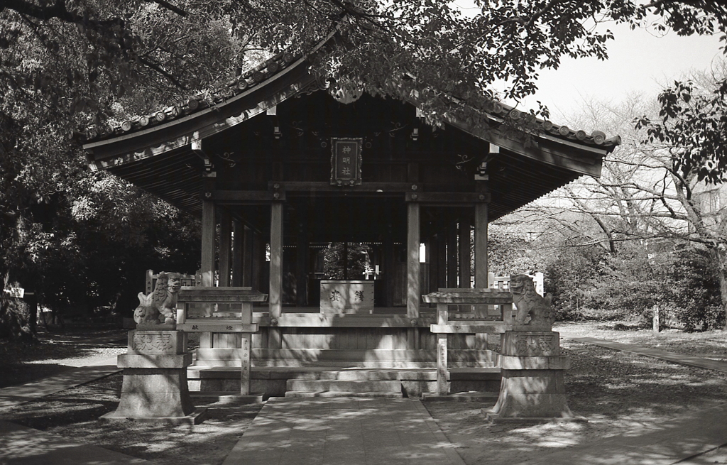 何気に近場の神社でも…