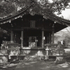 何気に近場の神社でも…