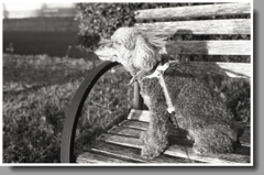 風の匂いに目をとじて…