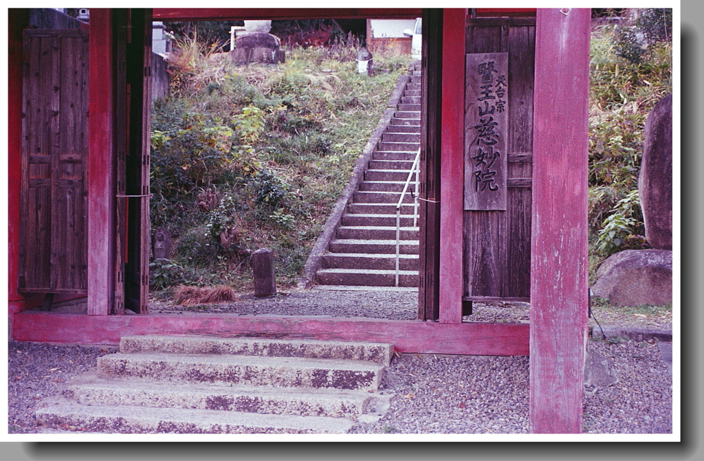 マリが眠る慈妙院動物霊園