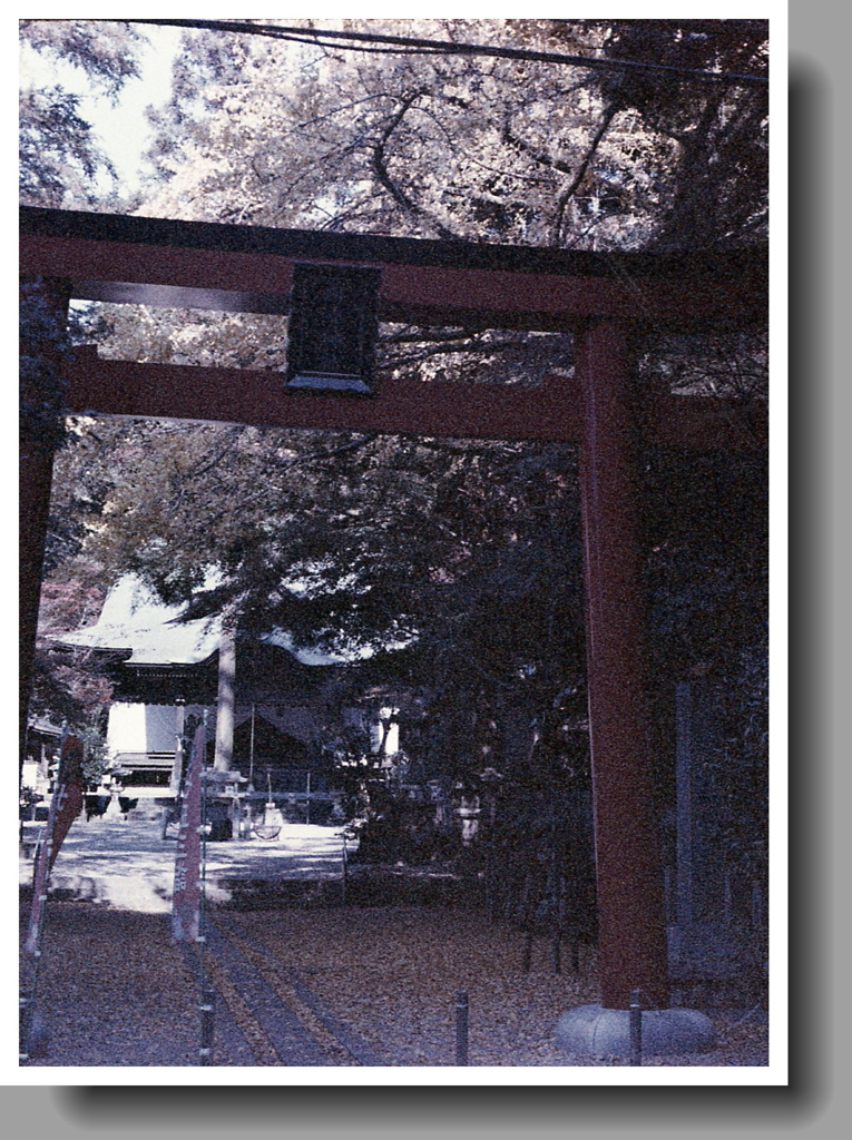 内々神社の赤い鳥居なんですが…（汗