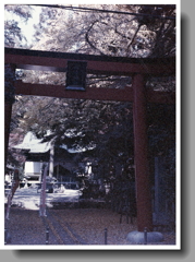 内々神社の赤い鳥居なんですが…(汗