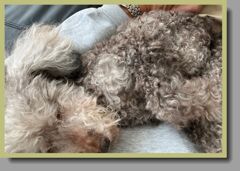 十八年の思い出ありがとう。