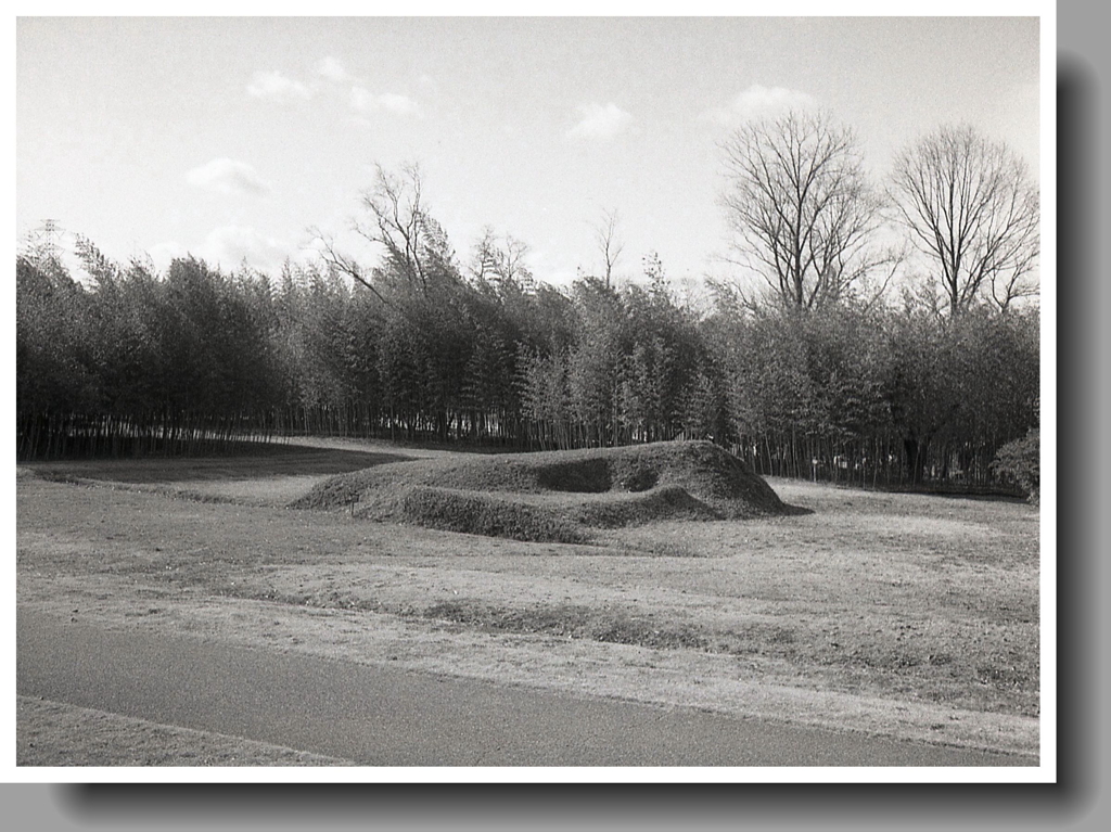 小さな古墳と竹林の風景
