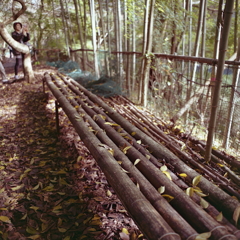 バンブー（竹）ベンチ