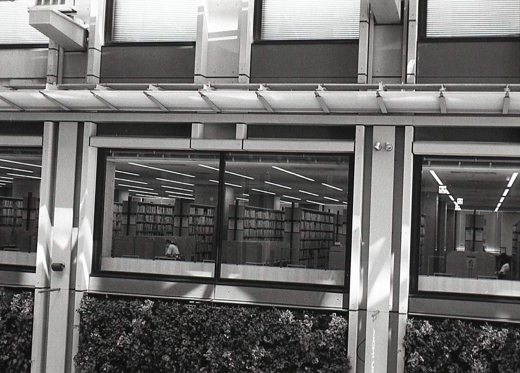 大學図書室