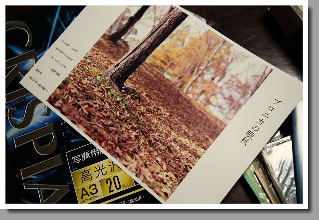 『ブロニカの晩秋』プリント