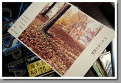 『ブロニカの晩秋』プリント