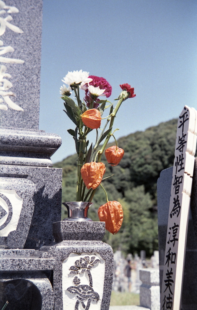 鬼灯