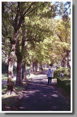 大都会の緑の匂い