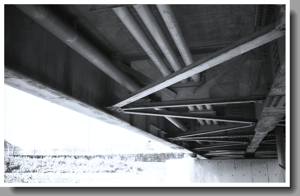 さんぽ途中のライフライン