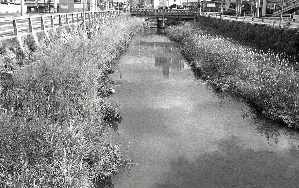 瀬戸川風情
