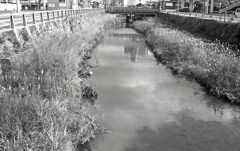 瀬戸川風情